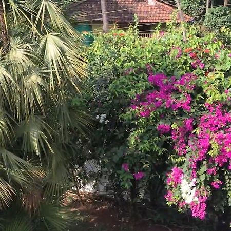1 Bhk Luxury Beachside Homestay In South Goa ベタルバティム エクステリア 写真