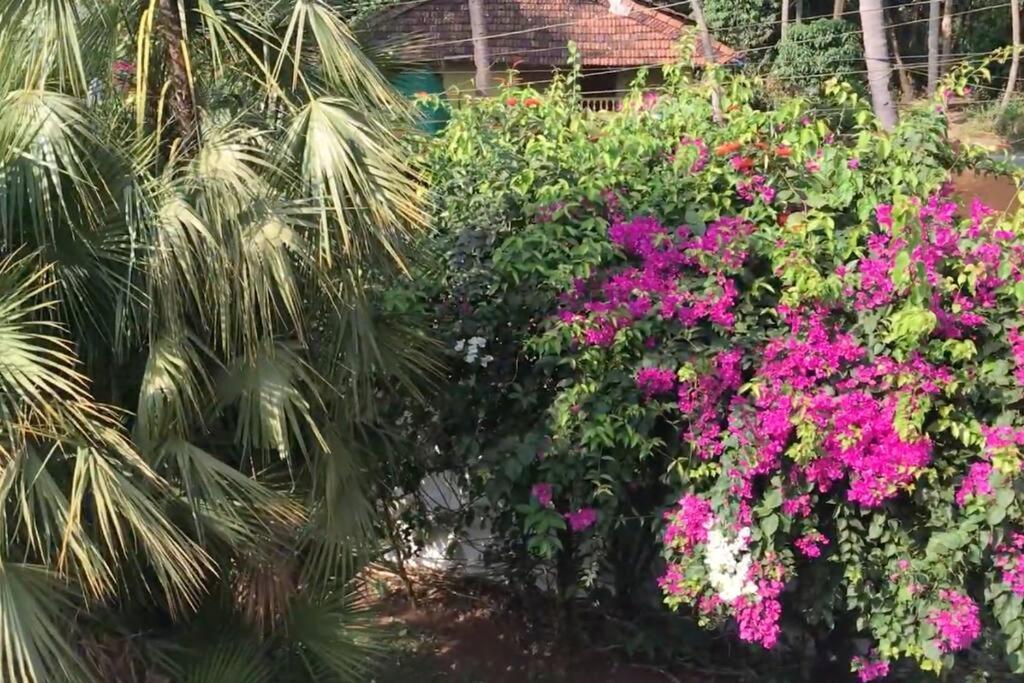 1 Bhk Luxury Beachside Homestay In South Goa ベタルバティム エクステリア 写真